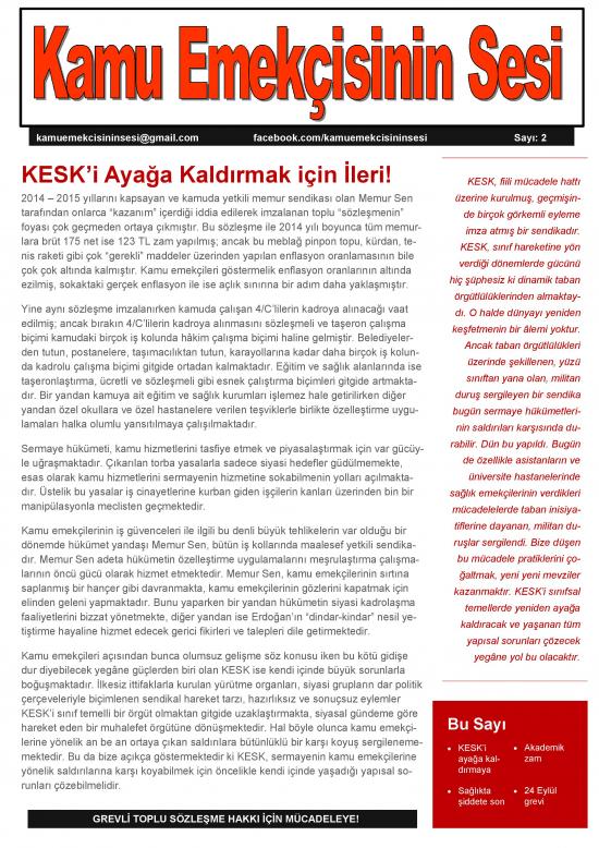 Kamu Emekçisinin Sesi sayı 2 kapak