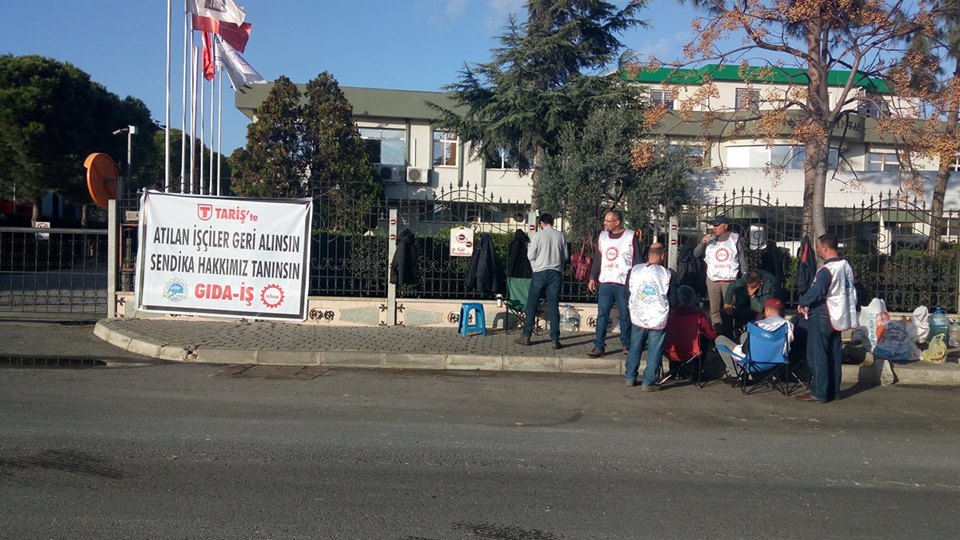 Tariş işçisinin direnişi devam ediyor Tariş işçisinin direnişi devam ediyor