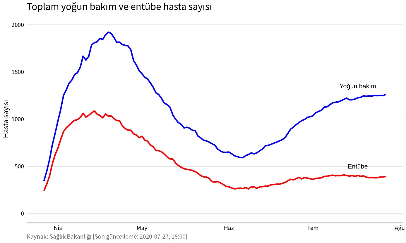 Yoğun Bakım ve Entübe Hasta Sayısı