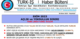 TÜİK enflasyonunda şaibe bitmiyor: İktidar işçiyi emekçiyi emekliyi TÜİK’le eziyor! 