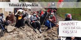 İstibdadın doğa talanı: İkizdere gerçeği