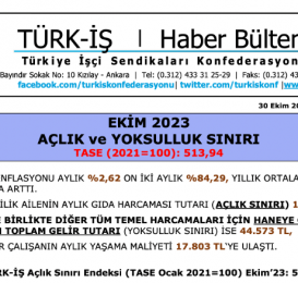TÜİK enflasyonunda şaibe bitmiyor: İktidar işçiyi emekçiyi emekliyi TÜİK’le eziyor! 