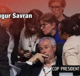 Burjuva ekolojik dönüşümünün ötanazisi