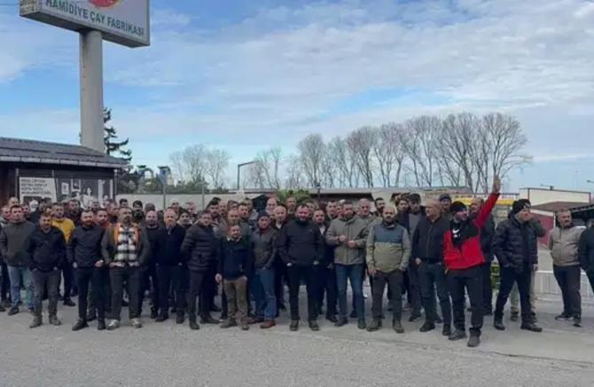 Rize Özgür Çay’da sendikalı işçi kıyımı!